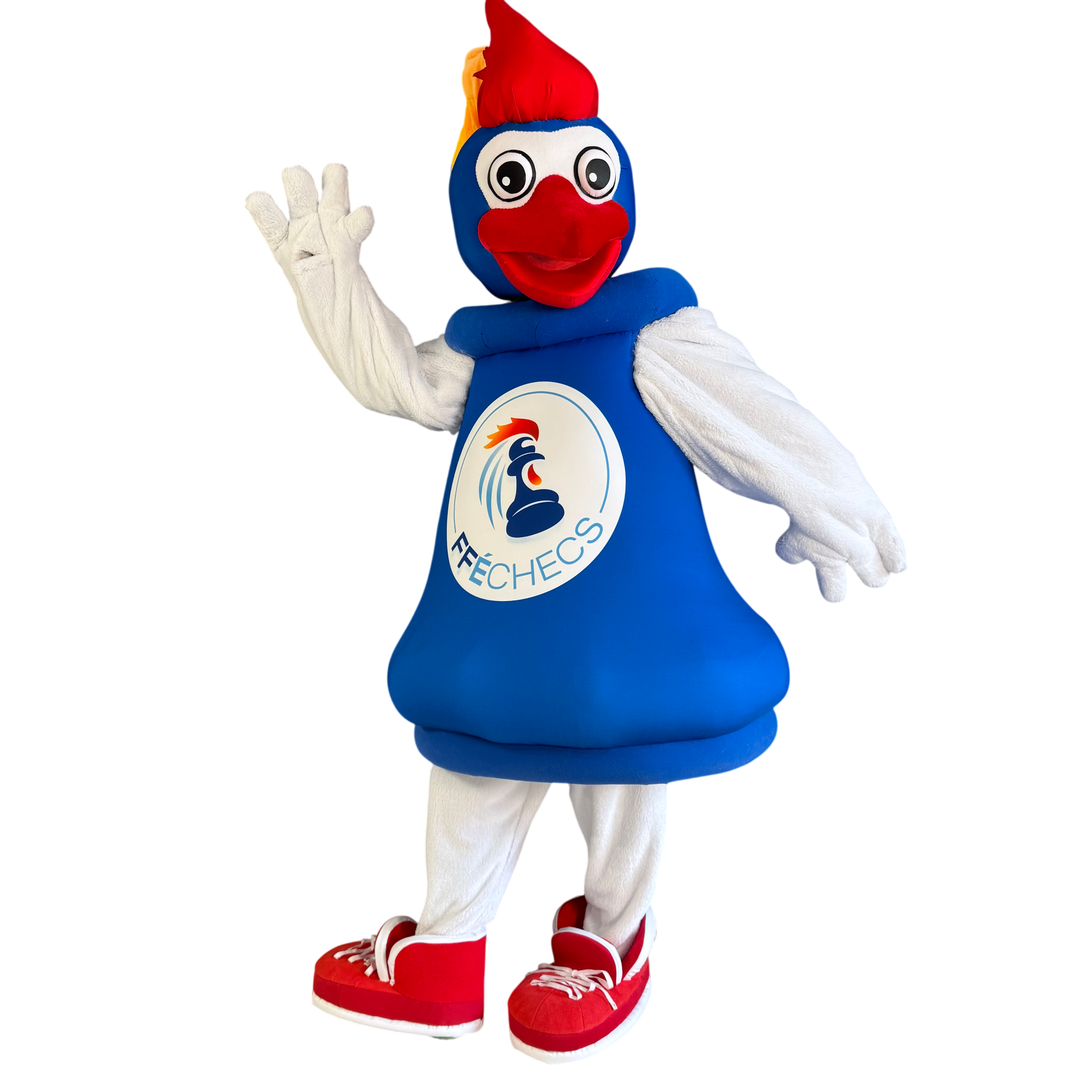 Mascotte Canard — École primaire