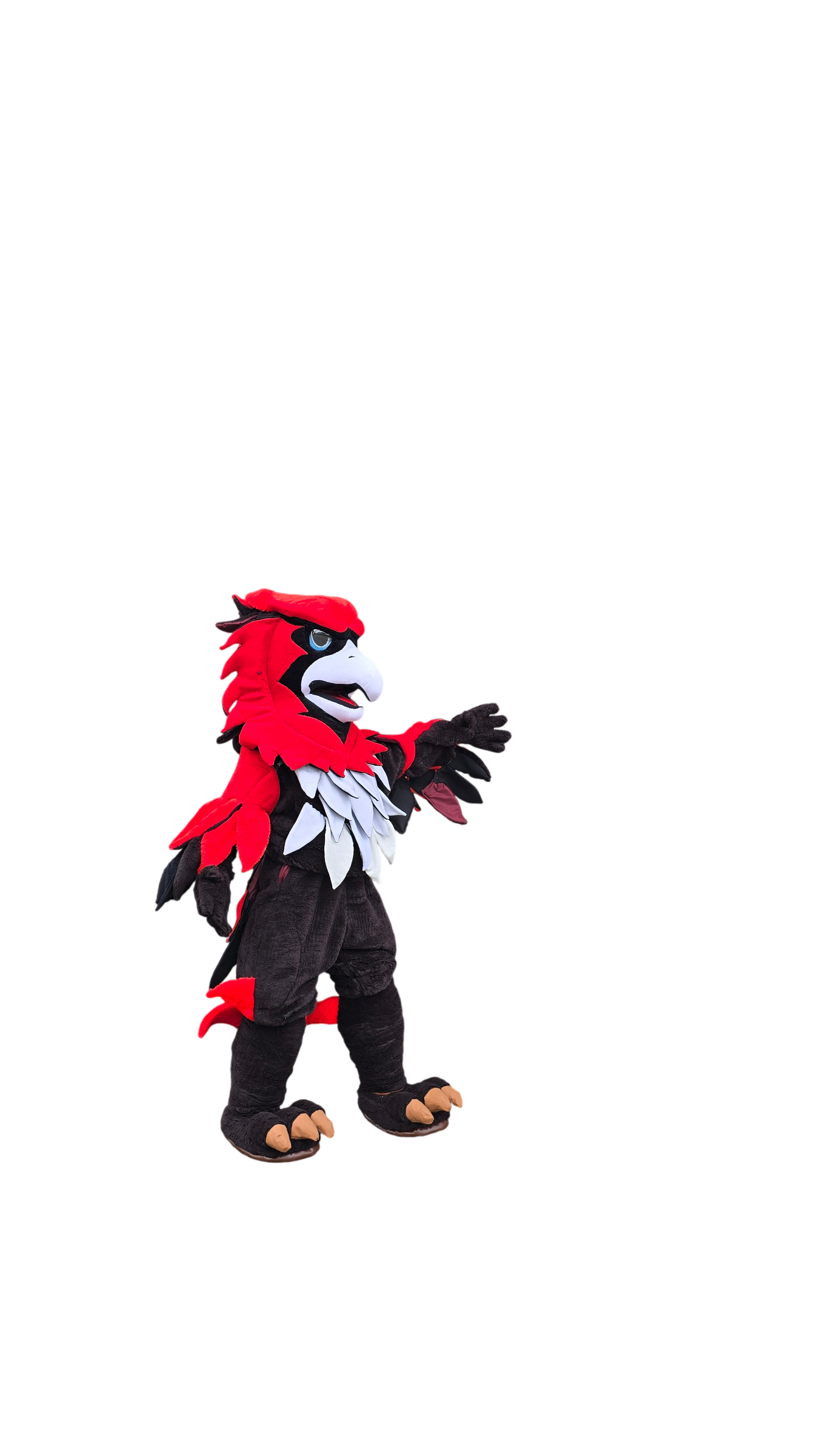 Mascotte Aigle — Club sportif